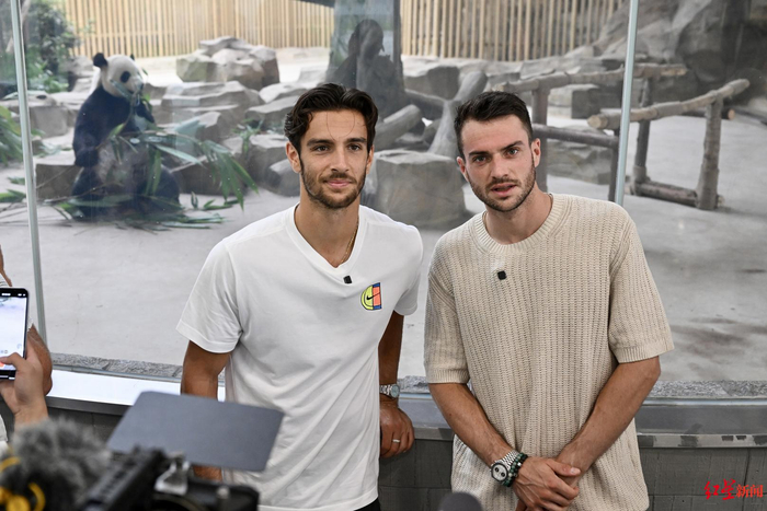 稳固的防守 稳固的防守