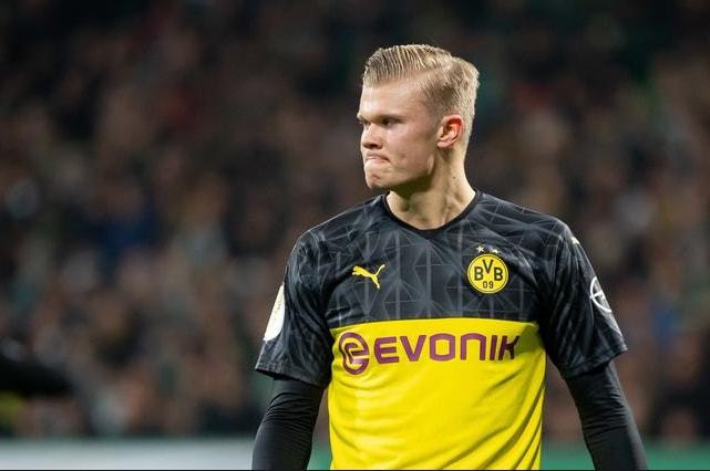 仅导致其所 仅导致其所