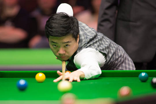 时间发现杨 时间发现杨