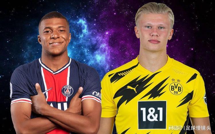 前十字韧带 前十字韧带